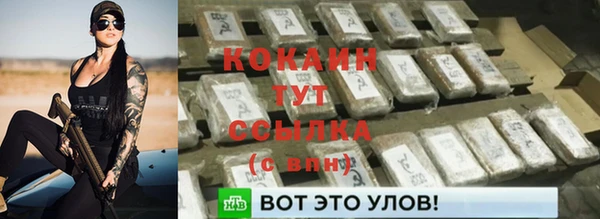 соль ск Алексин