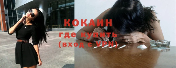 соль ск Алексин