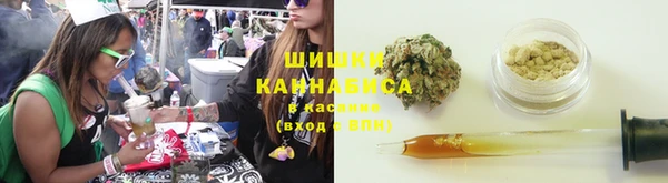 тгк Алзамай