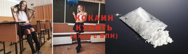 соль ск Алексин