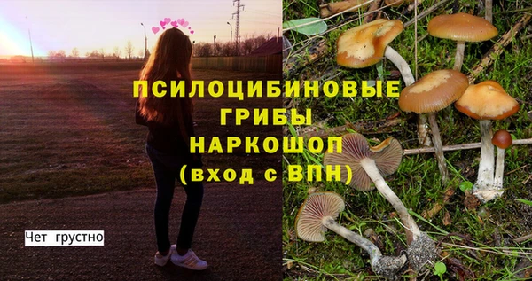 тгк Алзамай