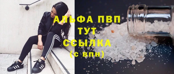 дмт Абаза