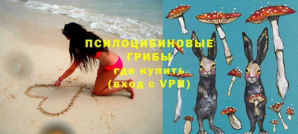 тгк Алзамай