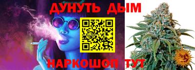 индика Пушкино