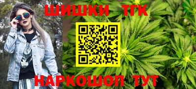 индика Пушкино