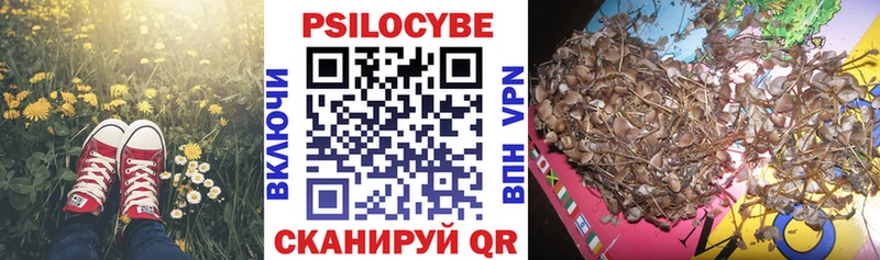 ОМГ ОМГ ONION  Череповец  Галлюциногенные грибы GOLDEN TEACHER 