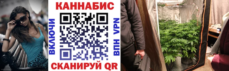 купить наркотики цена Череповец Канабис семена